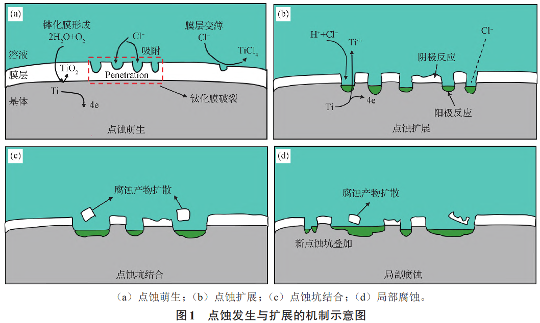 鈦鍛件鈦棒鈦板等鈦合金材料的局部腐蝕類(lèi)型及防護(hù)措施