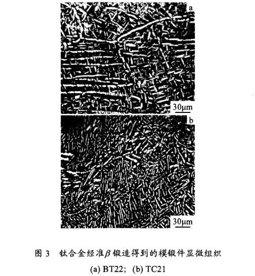 1654786621430287.jpg 5.jpg