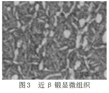 1671965530120234.jpg t3.jpg