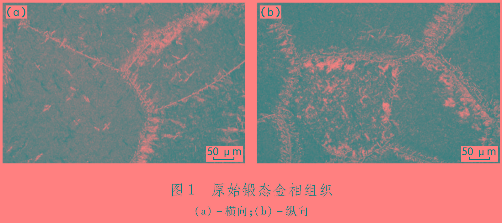 1681547615585839.jpg t1.jpg