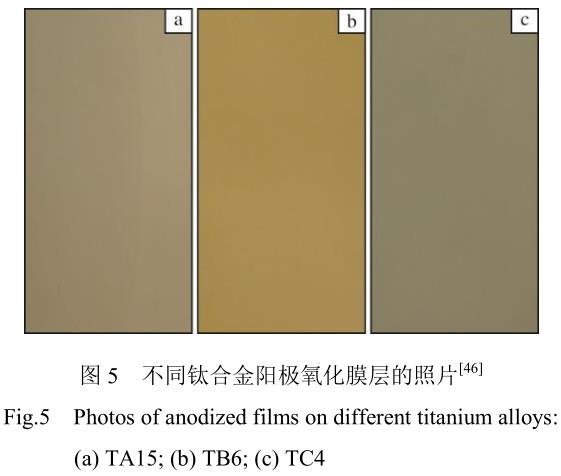 1715913924535153.jpg 360截圖16800414393969.jpg