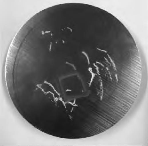 1715948064852166.jpg 2.jpg