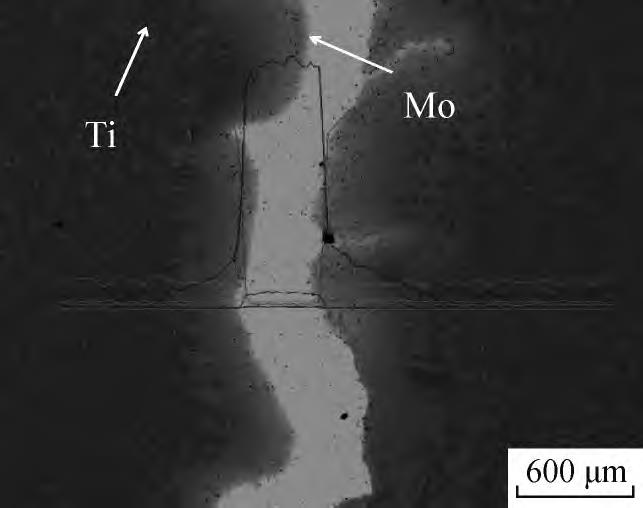 1715948287553368.jpg 9.jpg