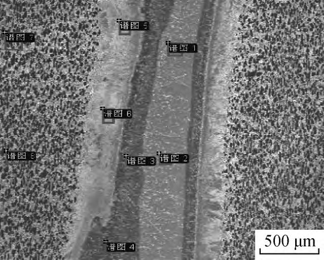 1715948295100888.jpg 10.jpg