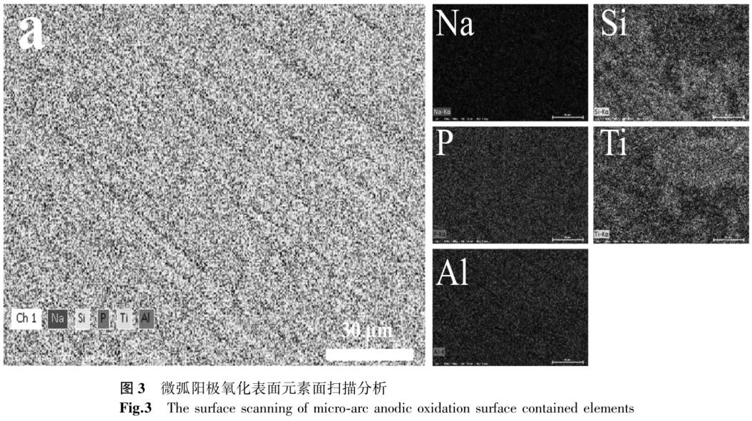 1724575183604087.jpg 360截圖16400226495164.jpg